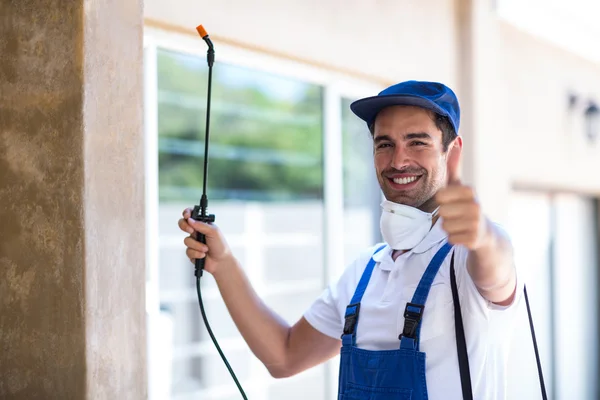 Burlingame Wasp Removal