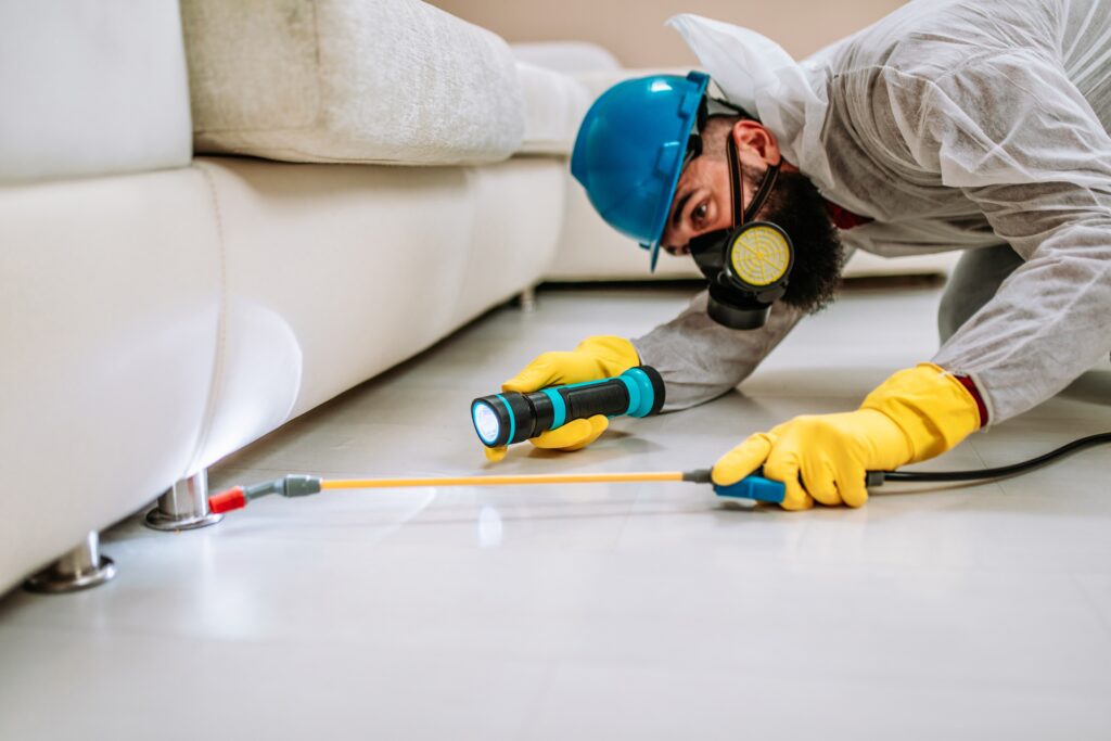 Burlingame Termite Control