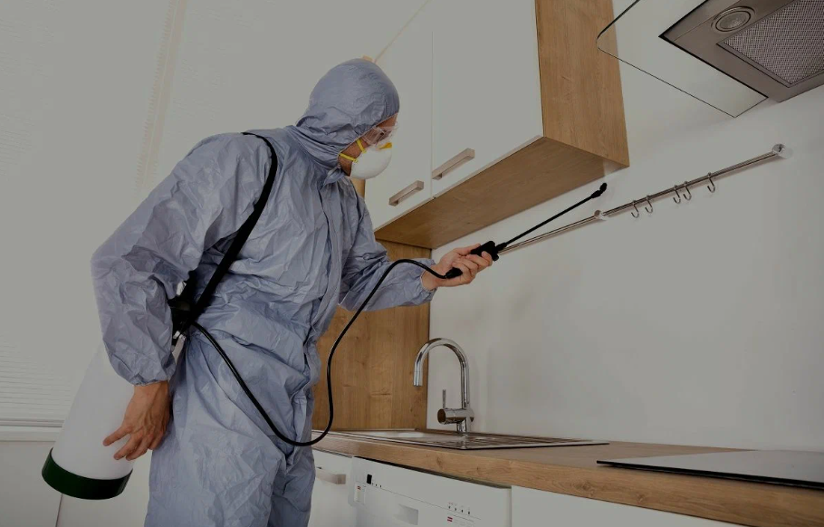 Burlingame pest managment
